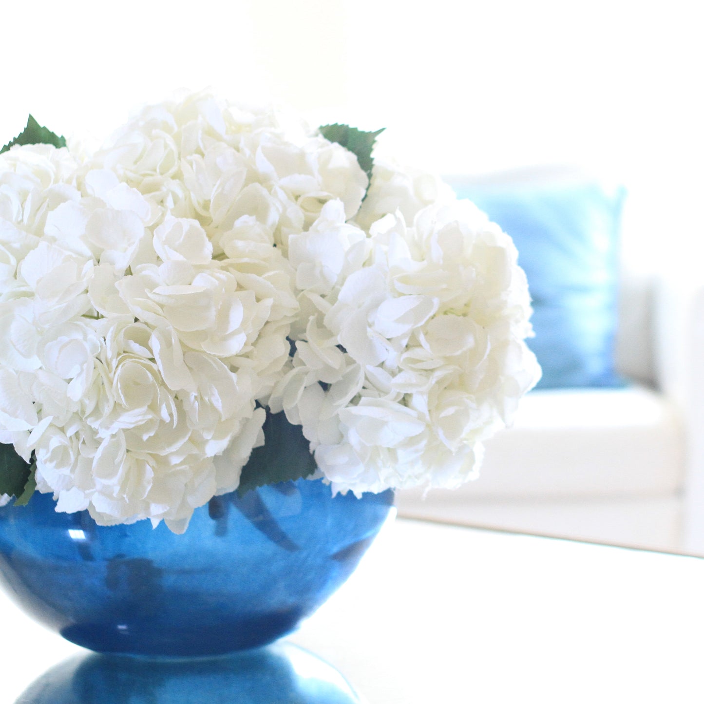 White Mophead Hydrangea 54 cm